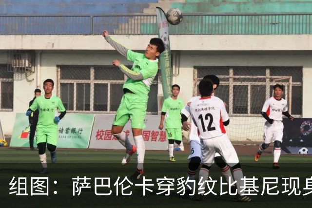 组图：萨巴伦卡穿豹纹比基尼现身海边 展示曼妙曲线